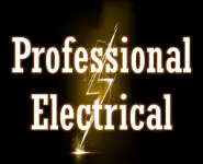 Professional Electrical