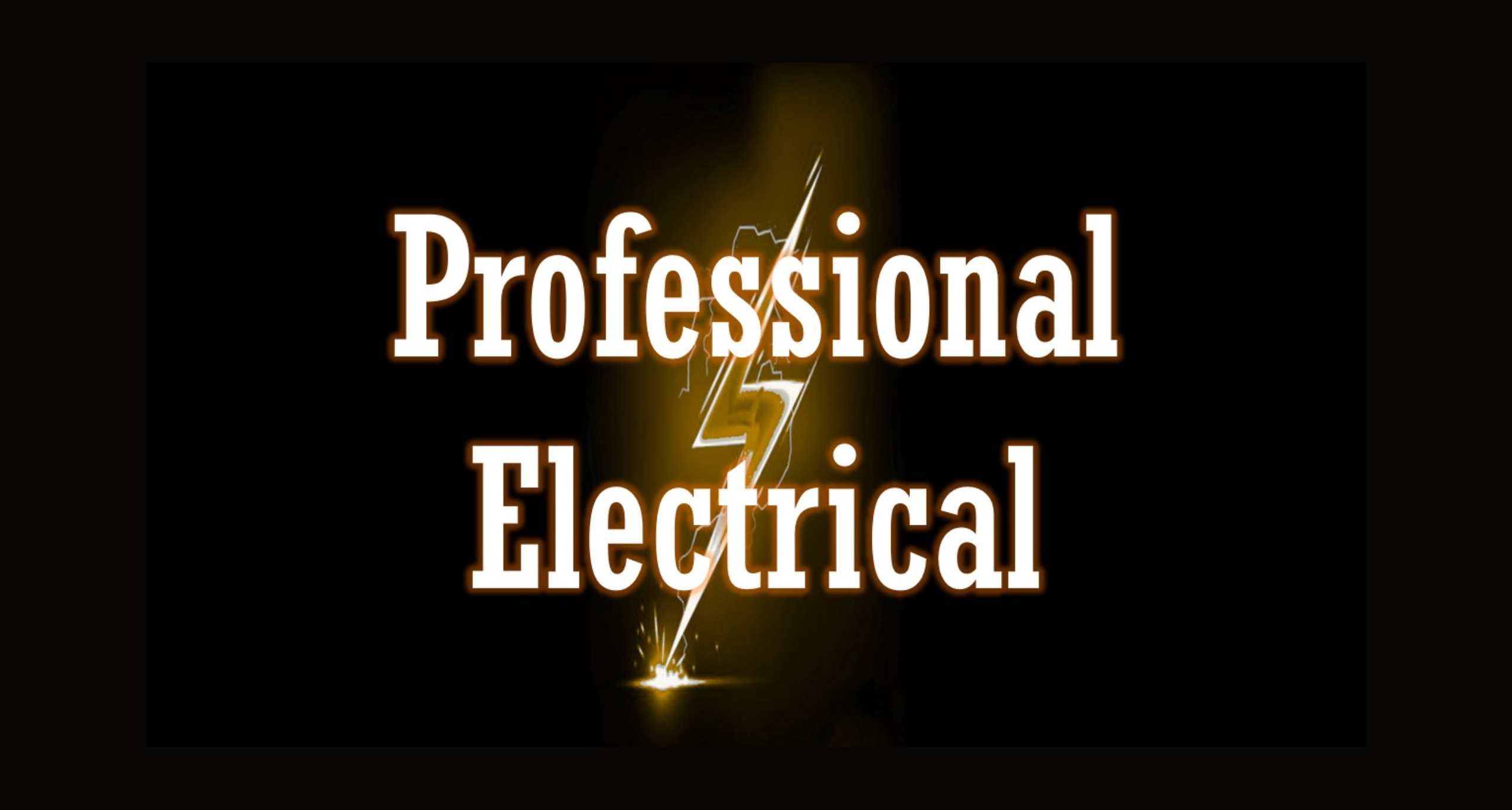Professional Electrical LLC